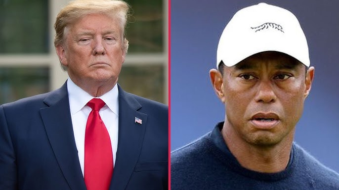How Donald Trump cheated when he played golf against Tiger Wo Tiger Woods Donald Trump